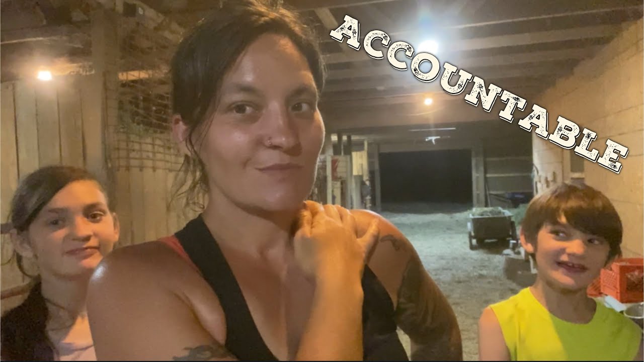 A Busy Farmstead Day