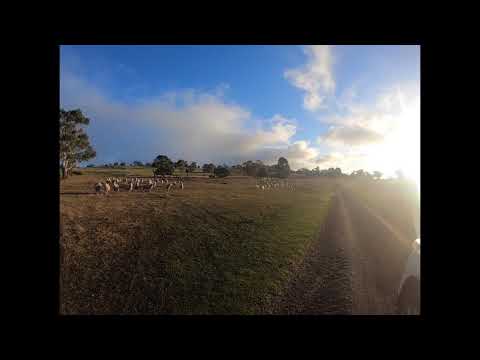 Exploring Tarndwarncoort Homestead