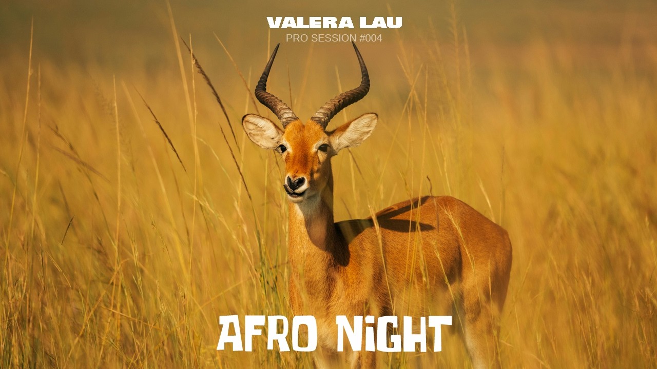VALERA LAU - Afro Night: PRO Session 04 - April 2026 | Preview