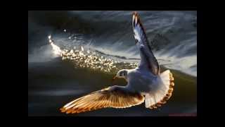 Jai Uttal & Ben Leinbach ~ Gopāla Lullaby