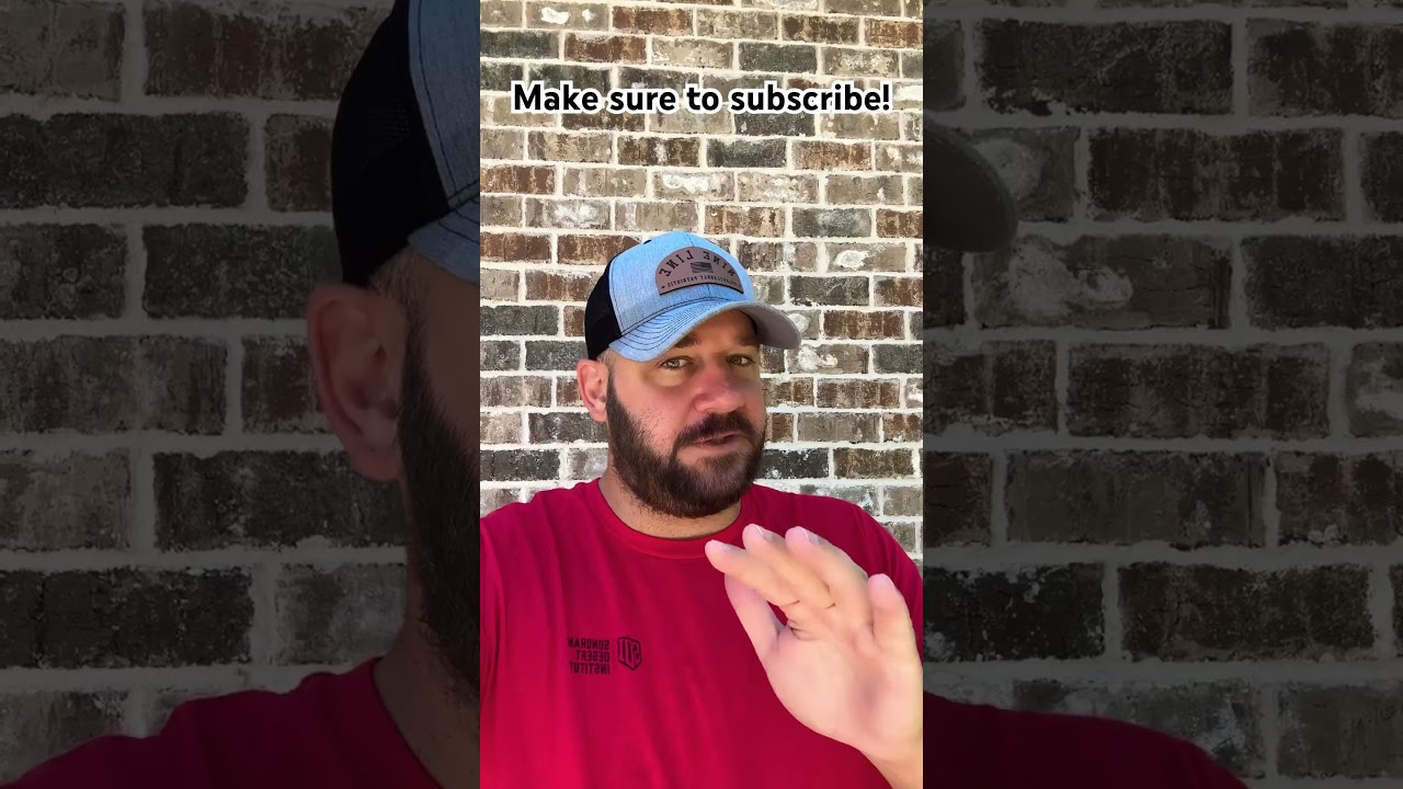I Could Not Write A Worse Scenario For The Left Than The Last 5 Days… #shortsfeed #shortsvideo