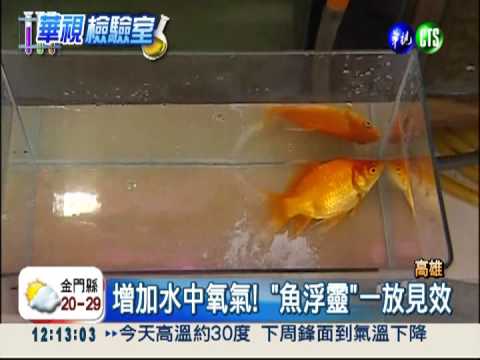 魚浮靈+硫酸銅 垂死魚變活跳跳