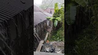 Download lagu basah #trending #fyp #pengikut #tiktok #tiktokshop #shorts #informasi #shortsvideo #viral #youtube mp3