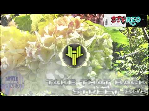 STREET 808 - TAKE THAT BACK