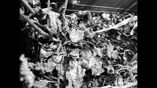 Circle of Fear - HIM - cover by Skáld Rouva