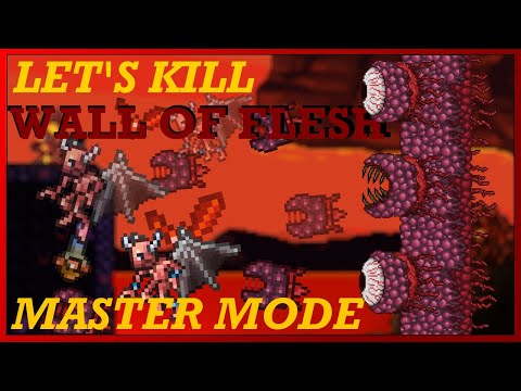 How to EASILY Beat MASTER MODE Wall of Flesh in Terraria 1.4!!