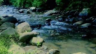 The BEST Sleep Trick You'll Ever Try with Water Sounds