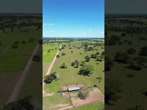 Fazenda à venda Avalia permuta #fazendaavenda #fazendapecuaria #fazendatocantins
