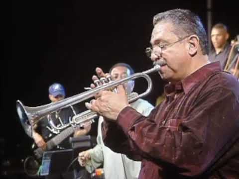 Víva La Salsa - Indestructible