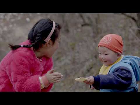 《娃儿》主题曲《爱的意图》「愛の糸」小湊昭尚