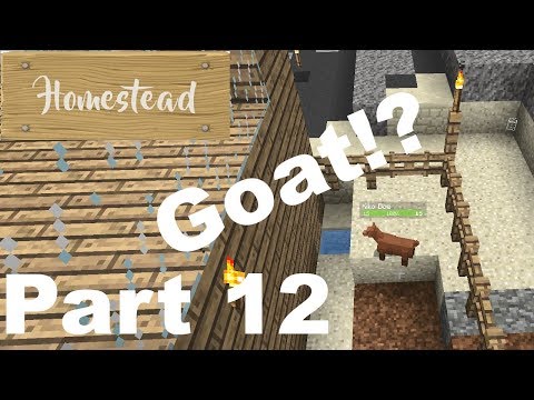 Let's Play Minecraft - Homestead Mod Pack - Part 12