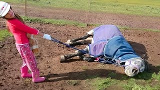 Miniature vidéo