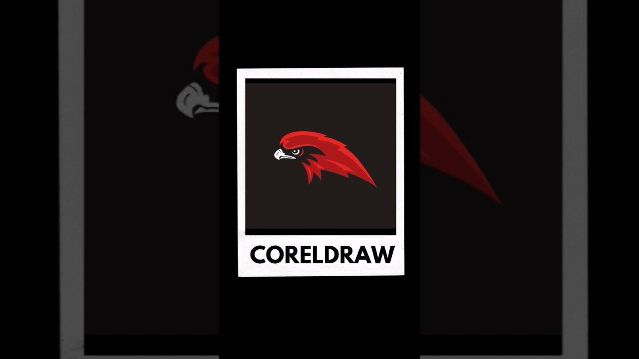 Bird Vector Design #coreldraw #design #graphicdesign #designtips #viral #art #shortvideo #vector