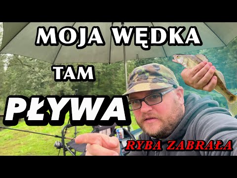 RYBA WCIĄGA WĘDKĘ! CZY UDA SIĘ URATOWAĆ? KTÓRE RYBY ŻERUJĄ BARDZIEJ? SANDACZ vs KARP & OKOŃ vs KARAŚ