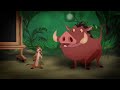 Timón Y Pumba En Clases De Peligro