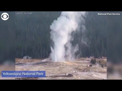 WEB EXTRA: Giantess Geyser Erupts For First Time In More Than 6 Years