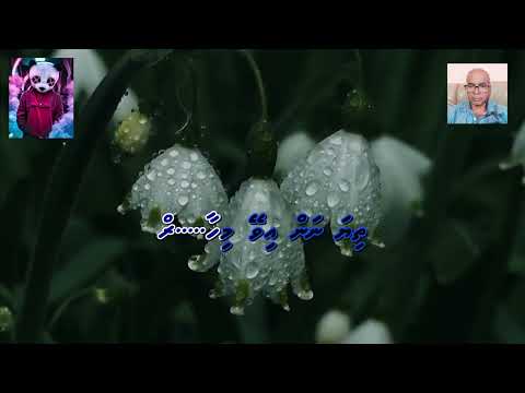 Heyo haaluga kalaathihen