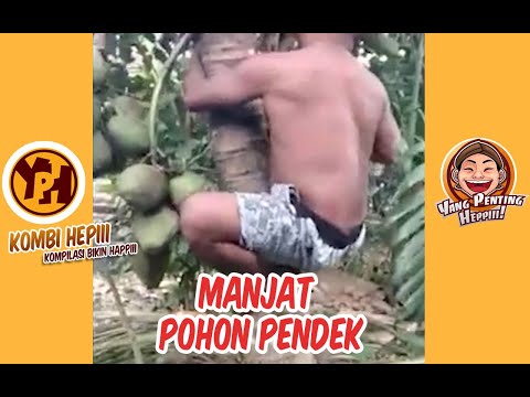 kombi-heppiii-manjat-pohon-pendek