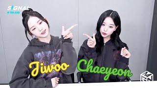 Download lagu [ENG/ESP] tripleS SIGNAL LIVE 250109 (Jiwoo, Chaeyeon) 트리플에스 Mintz mp3