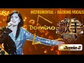 Jessie J - 歌手2018 Domino (Instrumental)
