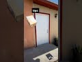 How different delivery companies get to your house 😂
