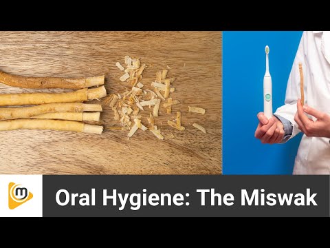 Miswak Sticks: Ancient Oral Hygiene Hack with Dr. Ellie! #miswak #oralhygiene