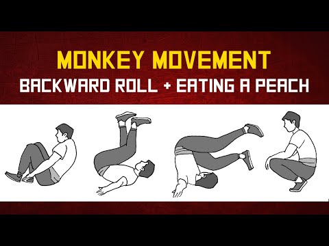🐒Kung Fu Monkey Movement - Backward Roll + Monkey Eats Peach 🙊🍑