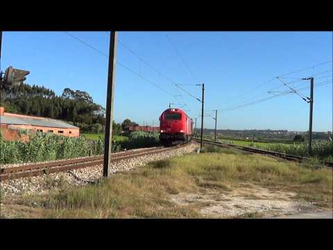 Comboio de Madeira nº 48838 - P.K. 206.9, Linha do Oeste