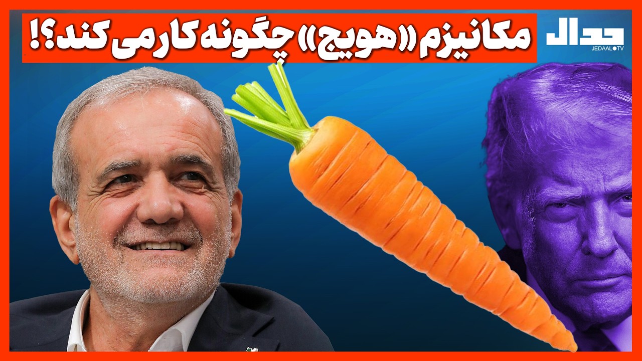 مکانیزم «هویج» چگونه کار می کند؟!