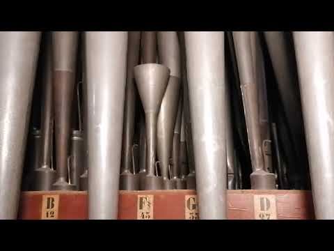 R. Remondi - MARCIA PASTORALE - ORGANO LINGIARDI 1877