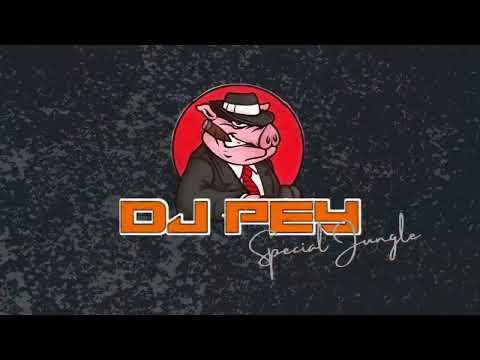 JJ KANE JUNGLE DUTCH PIW PIW YAMETTE KUDASAI!! DJ PEY