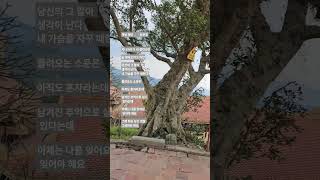 베트남 옌뜨국립공원 화안사(ft.강문경. 옛날 애인)#베트남 #하노이 #하롱베이 #옌뜨 #화안사 #사찰 #해…