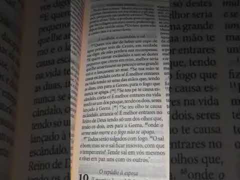 Leitura diária da Palavra de Deus - 17 de setembro