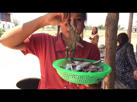 Crispy Frogs Recipe cooking Trailer - Tasty Deep Fried Frogs Cooking by Natural Village TV