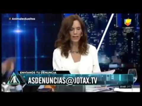 Un poco de justicia nada mas