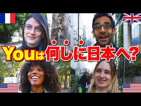 国際教養学科 外国人観光客に「日本旅行を決めた経緯や理由」を聞いてみた！【Youは何しに日本へ？】