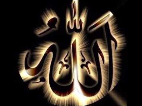 Medine Yoluna Vardım