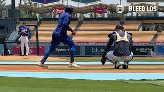 [分享] 今日大谷翔平Live BP完整影片