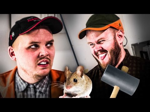 NORDIC HILLBILLIES - Musfan