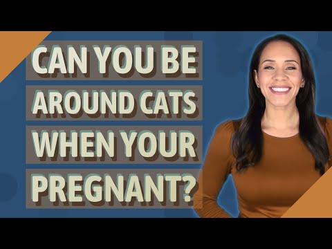 Can you be around cats when your pregnant?