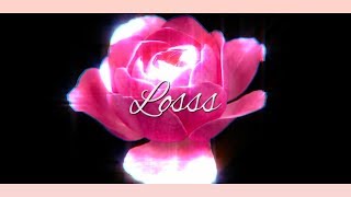 Björk - Losss (Lyrics)