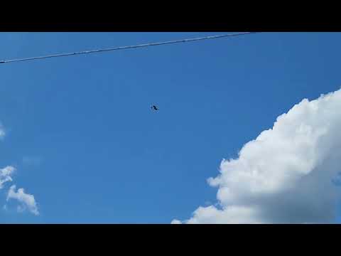 Just another day for Blue Air Training