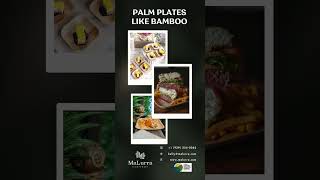 Sustainable Dining Made Easy: Palm Leaf Plates Like Bamboo