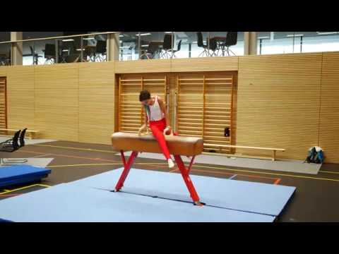 Pferd Quirin 2019 TSG Stadtbergen Vereinsmeisterschaft