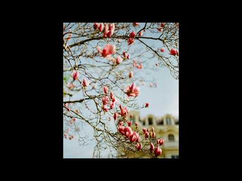 [FREE] guardin x sewerperson type beat | "feeling"