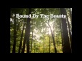 Bound By The Beauty - Jane Siberry acoustic cover