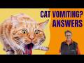 Cat Vomiting Frequently This Vet Has Answers