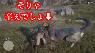 【RDR2】やっぱつれぇわ伝説のオオカミ