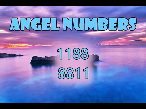 Angel Number 8811 and 1188 mirror numbers - Passion and Romance are protected - Tarot Reading