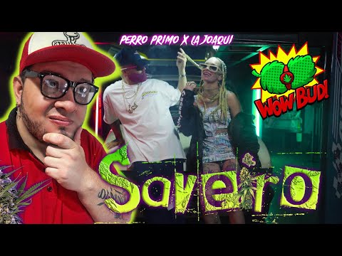 Perro Primo ❌ La Joaqui ❌ DT.Bilardo - SAVEIRO - Cumbia 420 (Reaccion)